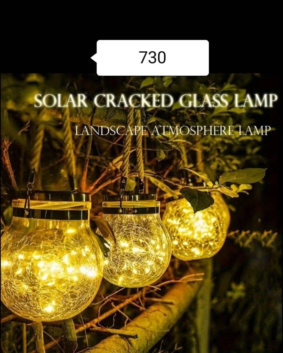 IMG-20250420-WA0001.webp Outdoor Hanging Lantern - Image 1