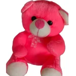 Teddy Bear Stuffed