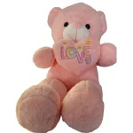 Love Teddy Plush