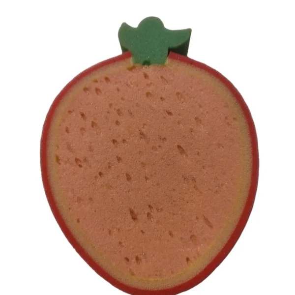 Cleaning Sponge