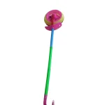 Push Along Wheel Toy