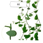 Plant Climbing Wall