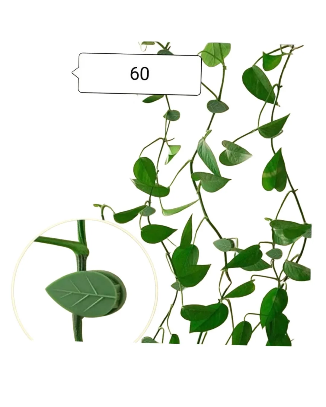 Picsart_25-04-28_20-18-29-625.webp Plant Climbing Wall - Image 1