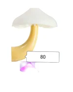 Mushroom Wall Socket Lamp