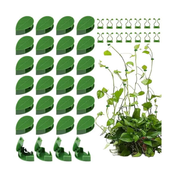 Plant Support for Climbers