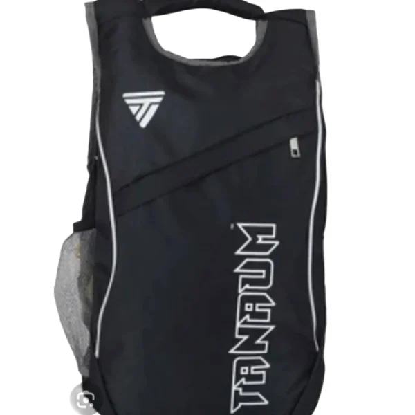 Laptop/school Bag