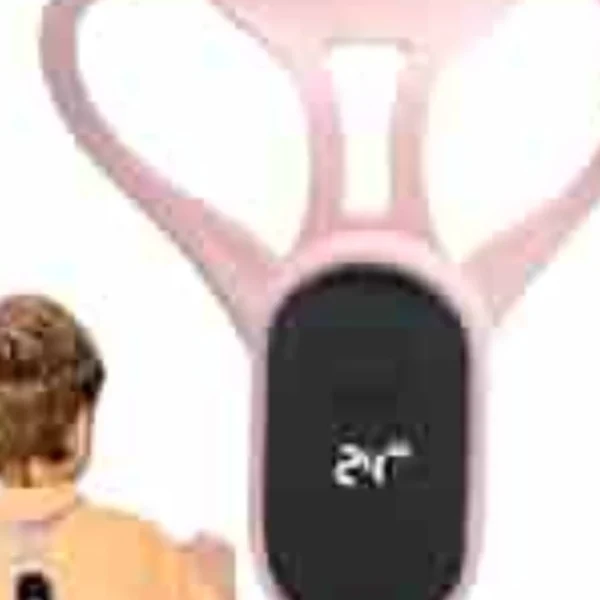 Back Support Device
