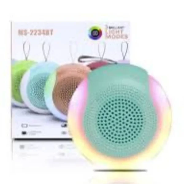 TechKing Portable Bluetooth Speaker with 2 Wireless Microphone for Kids and Adults with Led Lights, Gifts for Girls and Boys Birthday Home
