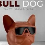 UBON Wireless Party Speaker, Bull Dog DG-47, Portable Bluetooth Speaker with 4Hrs Non-Stop Music, Support FM Radio, USB & TF Card, AUX Input, Portable Speaker for Travel, Home & Outdoor Party (Beige)