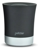Pebble Sync - Wireless Portable Bluetooth Speaker with Microphone/USB/FM/SD Card Reader/AUX in (Silver)