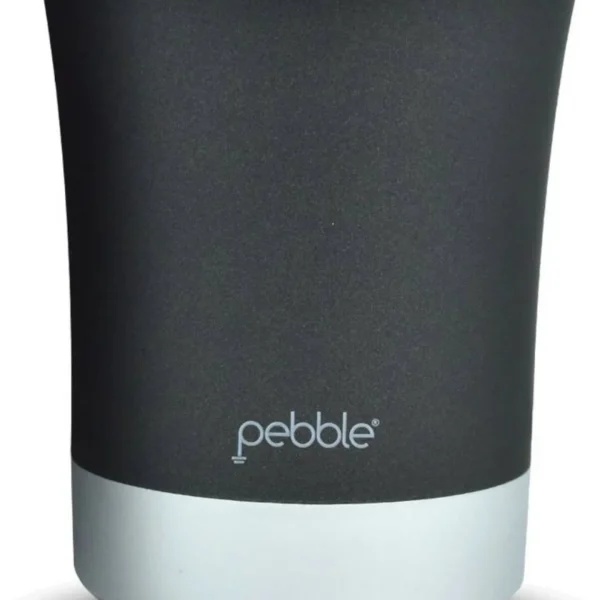 Pebble Sync - Wireless Portable Bluetooth Speaker with Microphone/USB/FM/SD Card Reader/AUX in (Silver)